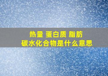 热量 蛋白质 脂肪 碳水化合物是什么意思